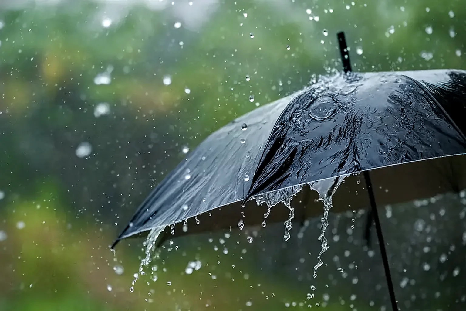 وزراء خارجية: إخراج سكان غزة قسري وينتهك القانون الدولي