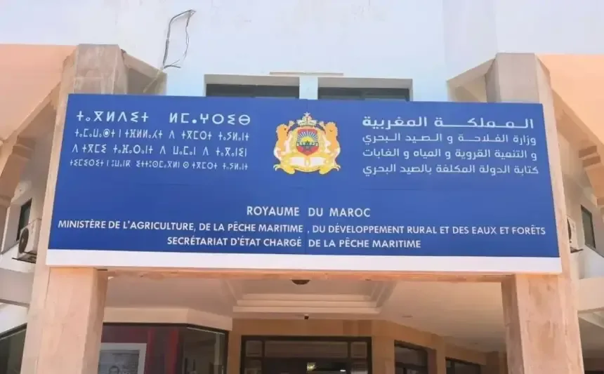 وزارة الصيد تنفي استغلال الأخطبوط لأغراض انتخابية