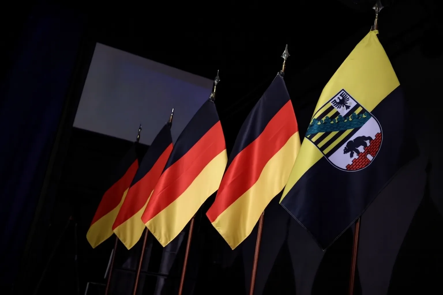 AfD يحقق نحو 43.8% في انتخابات ساكسونيا-أنهالت